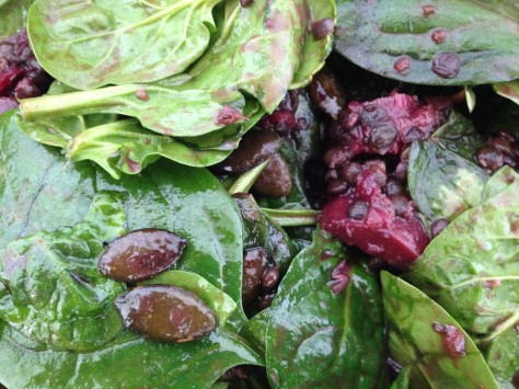 Schwarze Rote Bete Salat mit Beluga Linsen und Spinat